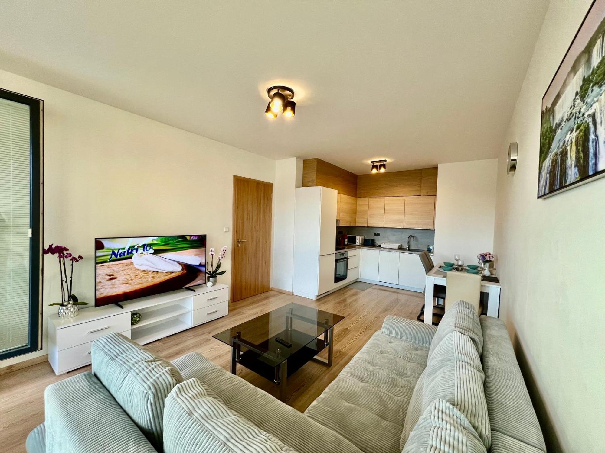 Tomas Apartment,free Parking-02 Arena * Praga